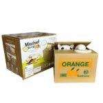 Alcancía Mischief - Orange Traga Monedas