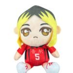 Peluche Tobio Kageyama #5 - Haikyuu 21cm