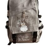 Maleta Morral De Totoro Color Gris En Lona